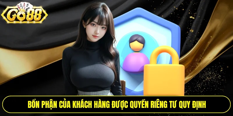 Quyền Hạn Của Người Dùng Đối Với Dữ Liệu Cá Nhân